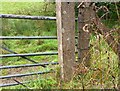 Meerbrook Lane gatepost