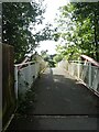 Foot and cycle bridge over River Tavy looking west