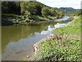 SO5301 : The River Wye by Philip Halling