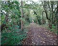 Railway Path View