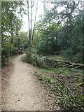 ST2888 : Cycle path in woodland by Fourteen Locks by David Smith
