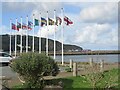 Goodwick Moor - Flags