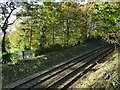 Railway below Morris Wood