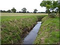 SO8036 : Stream on Longdon Marsh by Philip Halling