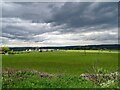 View across the field to Glebe Farm