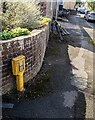 Yellow hydrant marker, Arlingham