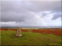 SS4890 : Trig Point Above Reynoldston by Chris Andrews
