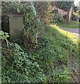 Shades of green, High Street, Arlingham