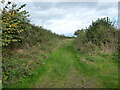 Green Lane at Sutton, Staffs