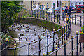 Cullompton : Leat