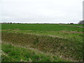 TF1541 : Flat farmland near Willoughby House Farm by JThomas