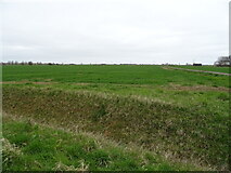 TF1541 : Flat farmland near Willoughby House Farm by JThomas