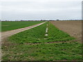TF1741 : Track and drain near Broadhurst Farm by JThomas
