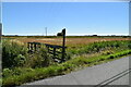 Footpath waymarker across Romney Marsh