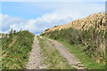 Bridleway on farm track north of Teffont Magna