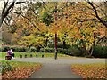 SK5804 : Autumn at Castle Gardens, Leicester by Mat Fascione