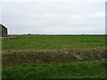 Grassland, Helpringham Fen