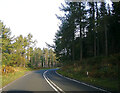 NT7800 : Bend in the A68, Redesdale Forest by JThomas