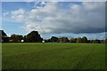 Grass and clouds