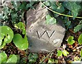 Boundary Stone