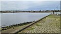 Berwick from RNLI pier, Spittal