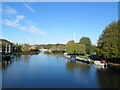 The River Thames from Reading bridge