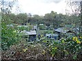 Darklands Lane Allotments