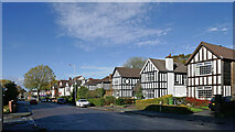 SO9097 : Housing in Stubbs Road, Wolverhampton by Roger  D Kidd
