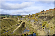NY9939 : Ashes Quarry, western section - 2 by Trevor Littlewood