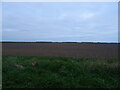 Flat field, Swaton Fen