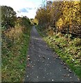 Canalside path