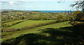 Countryside north of Dawlish