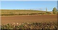 Farmland at Eldersfield