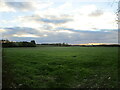 Grass field at Keythorpe