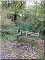 Sculpture in Pencleave Wood by Tarka Trail