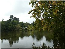 ST2885 : Lake in grounds of Tredegar House by David Smith