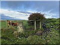 Broomfield Farm Trig Point Flush Bracket S4559