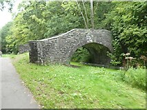 ST2590 : Footbridge over Monmouthshire and Brecon Canal by David Smith