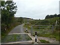 Cattle grid on road near Maesmawr