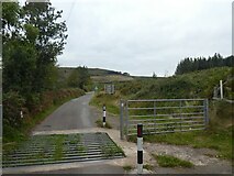 ST2491 : Cattle grid on road near Maesmawr by David Smith