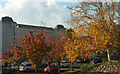 SX9063 : Autumn trees, Riviera International Centre, Torquay by Derek Harper