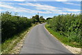 Road towards Oak Farm