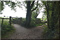 Bridleway left, byway right