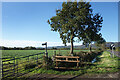 Footpath near Hanley Swan