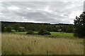 SU7887 : Grasses, Hambleden Valley by N Chadwick