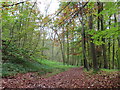 Bridleway on Aston Hill,