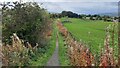 Tees Railway path close to Mickleton