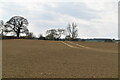 Ploughed field, Glover Farm