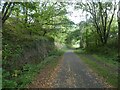 Cycle track in railway cutting north of Cwm Ffrwd-Oer