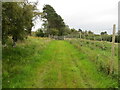 NC5707 : Grass track that gives access to Lairg Lodge by Peter Wood